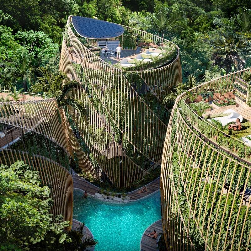 Living The Noom Miches RD