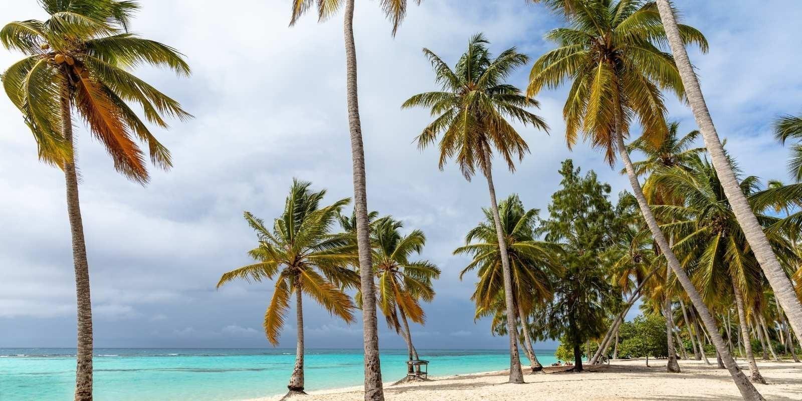 Cómo es Vivir en Punta Cana: Zonas, Estilo de Vida y Oportunidades Inmobiliarias